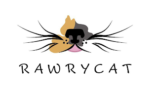 RAWRYCAT logo
