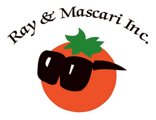RAY & MASCARI INC. logo