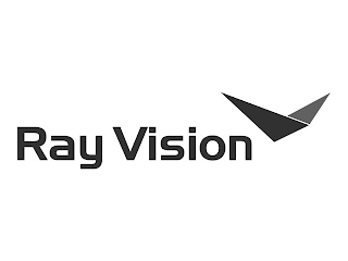 RAY VISION logo
