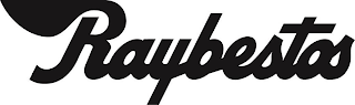 RAYBESTOS logo
