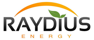 RAYDIUS ENERGY logo