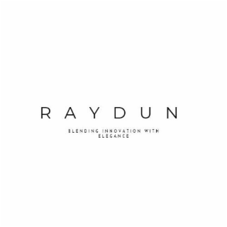 RAYDUN BLENDING INNOVATION WITH ELEGANCE logo