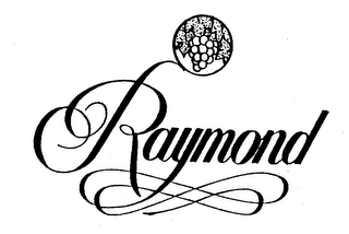 RAYMOND logo