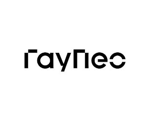 RAYNEO logo
