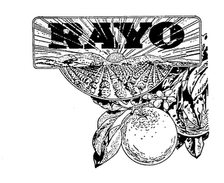 RAYO logo