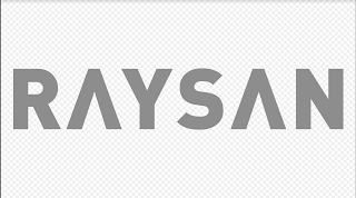 RAYSAN logo