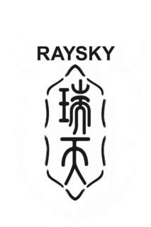 RAYSKY logo