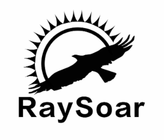 RAYSOAR logo