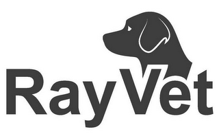 RAYVET logo