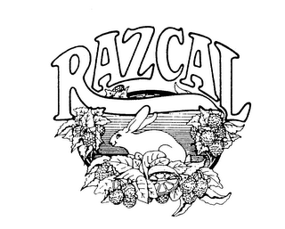 RAZCAL logo