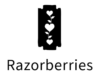 RAZORBERRIES logo