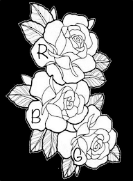 RBG logo
