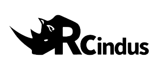 RCINDUS logo