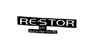 RE STOR logo