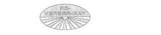 RE-VERBER-RAY logo