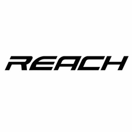 REACH logo