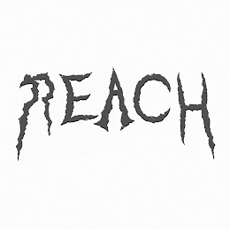REACH logo