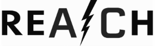 REACH logo