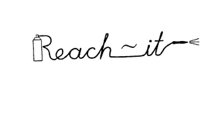 REACH - IT logo