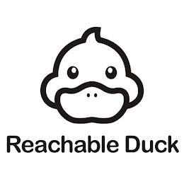 REACHABLE DUCK logo