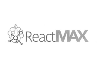 REACTMAX logo