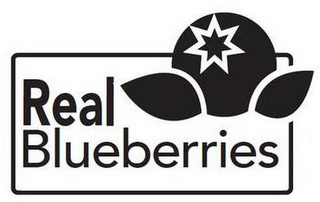 REAL BLUEBERRIES logo
