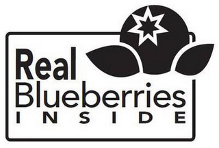 REAL BLUEBERRIES INSIDE logo