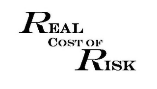 REAL COST OF RISK logo
