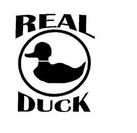 REAL DUCK logo