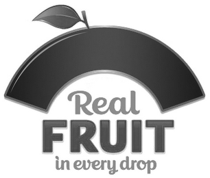 REAL FRUIT IN EVERY DROP logo
