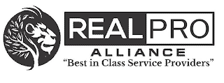 REAL PRO ALLIANCE BEST IN CLASS SERVICE PROVIDERS logo