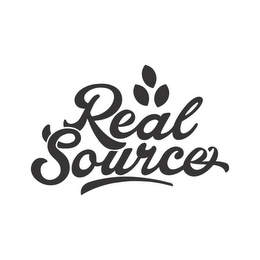 REAL SOURCE logo