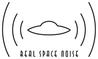 REAL SPACE NOISE