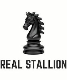 REAL STALLION logo