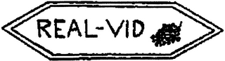 REAL-VID logo