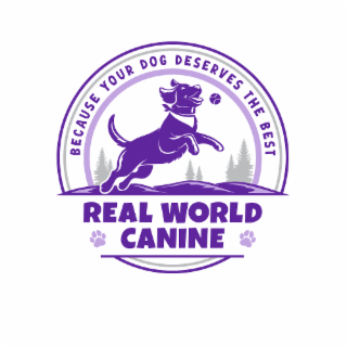 REAL WORLD CANINE BECAUSE YOUR DOG DESERVES THE BEST logo