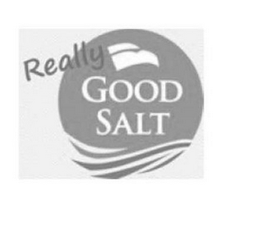 REALLY GOOD SALT logo