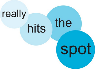 REALLY HITS THE SPOT logo