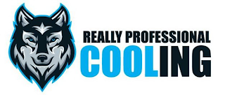 REALLY PROFESSIONAL COOLING logo
