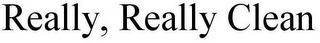 REALLY, REALLY CLEAN logo