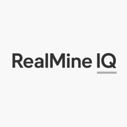REALMINE IQ logo