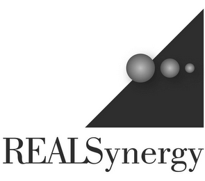 REALSYNERGY logo