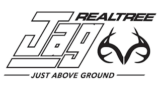 REALTREE JAG JUST ABOVE GROUND logo