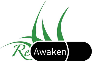REAWAKEN logo