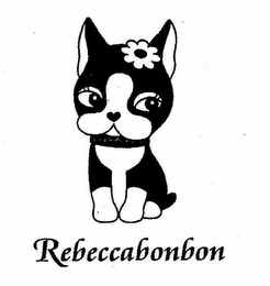 REBECCABONBON