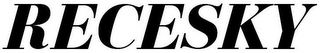 RECESKY logo