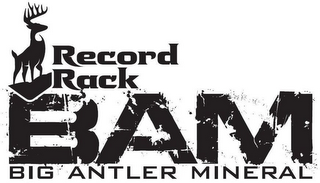 RECORD RACK BAM BIG ANTLER MINERAL logo