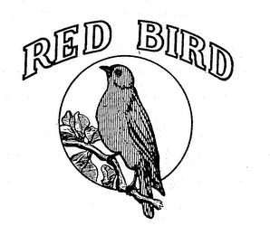 RED BIRD logo