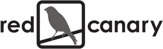 RED CANARY logo