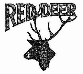 RED DEER logo